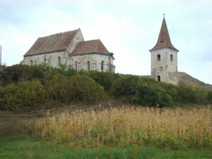 De la decalaje regionale la soluții reale în mediul rural