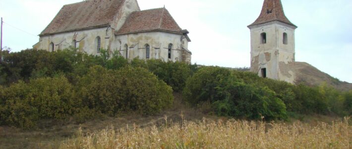 De la decalaje regionale la soluții reale în mediul rural De la decalaje regionale la soluții reale în mediul rural