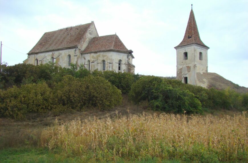 De la decalaje regionale la soluții reale în mediul rural